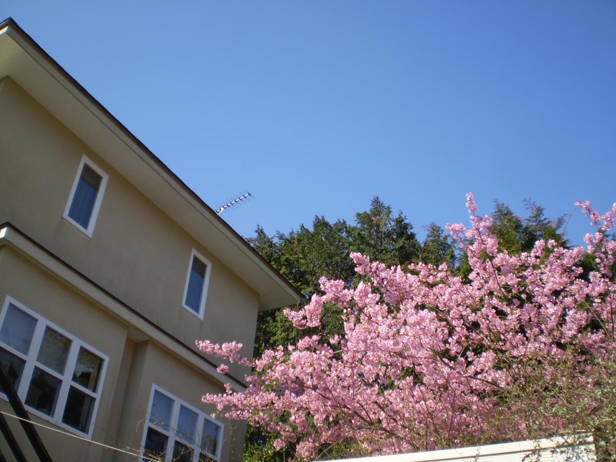 Chiisana Hotel Hanaikada Іто Екстер'єр фото